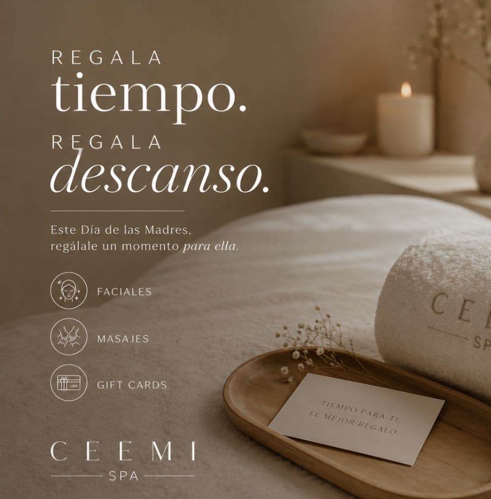 Experiencia CEEMI Spa